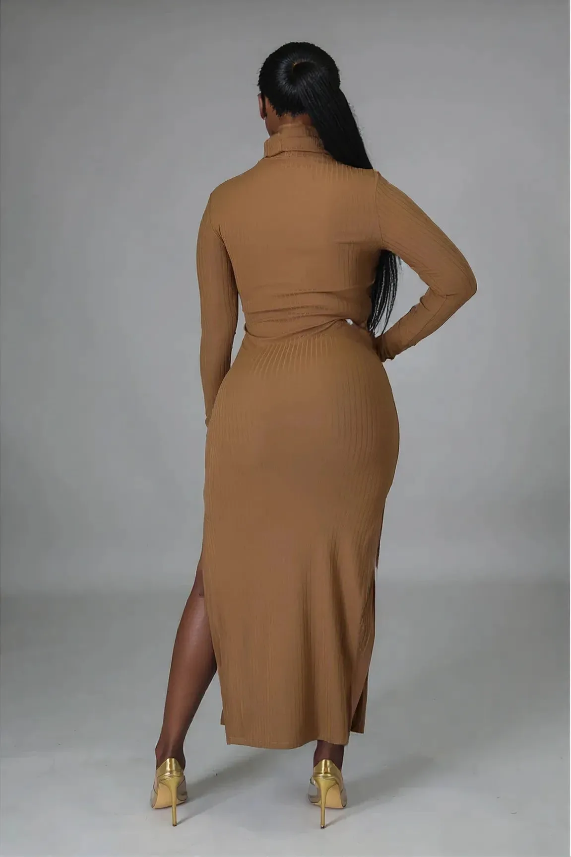 Turtle Neck Side Split Maxi